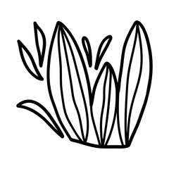 Simple black line drawing of grass. Suitable for nature-themed designs, coloring books, or eco illustrations. 