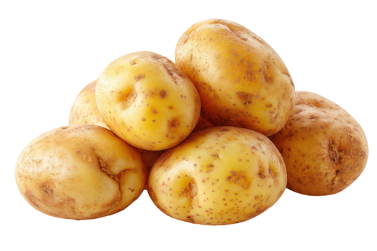 Pile of fresh, yellow potatoes