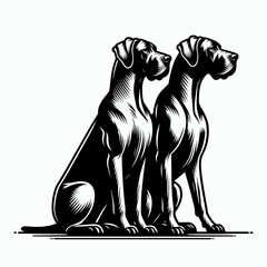 Great Dane Dog Drawing or painting together. Retro Cartoon Clipart Silhouette Stock Vector Line Art Illustration. Large canine artwork sketch picture creation combined.