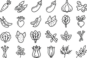 A charming collection of simple, hand-drawn illustrations featuring a variety of fresh vegetables and produce, perfect for culinary or healthy eating themes.