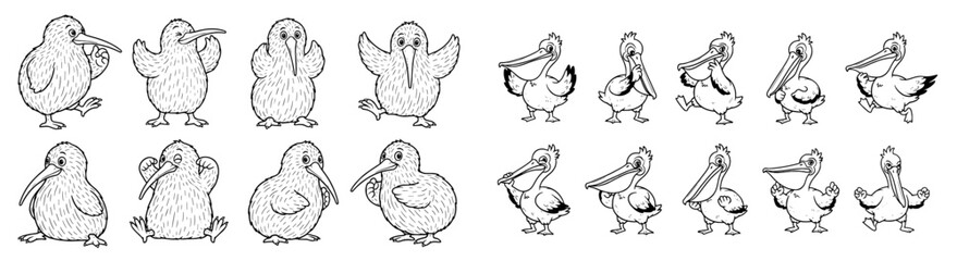Cartoon birds stand in a group. Kiwi and pelican illustration, wildlife, animal, cute, funny, isolated, avian, comic, line art, monochrome