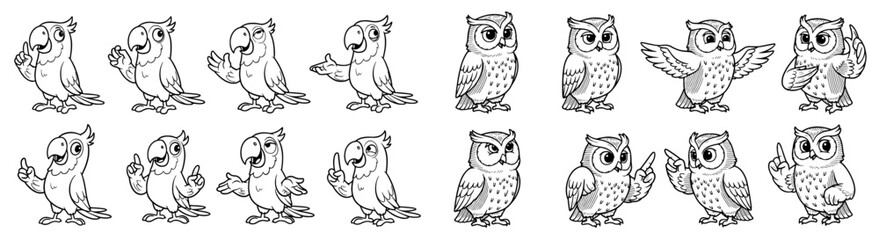 Cartoon parrots and owls point fingers. Cartoon birds, fun, cute, animals, education, teaching, happy, character, wildlife, illustration