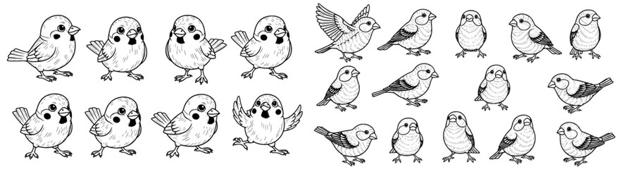 Obraz premium Cartoon birds in varied poses. Ornithology, nature, vector, illustration, wildlife, doodle, animal, cute, cheerful, fun, flight.