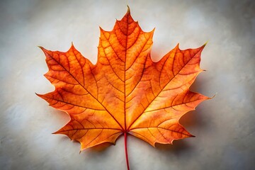 Vibrant orange maple leaf showcasing autumn s fiery colors on a textured background