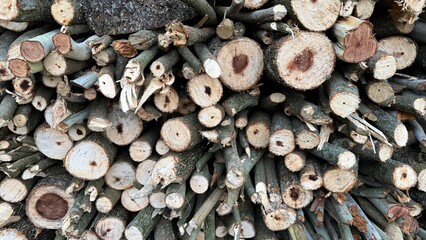 A textured pile of cut firewood logs in nature