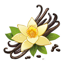 Vanilla flower and pods vector color illustration. Composition of aromatic spice with buds and leaves.