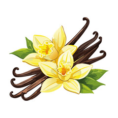Vanilla flower and pods vector color illustration. Composition of aromatic spice with buds and leaves.