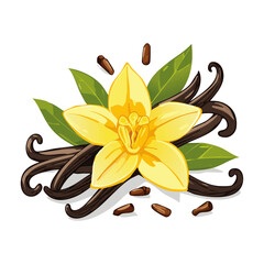 Vanilla flower and pods vector color illustration. Composition of aromatic spice with buds and leaves.