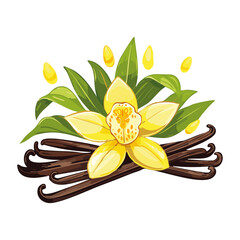 Vanilla flower and pods vector color illustration. Composition of aromatic spice with buds and leaves.