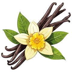 Vanilla flower and pods vector color illustration. Composition of aromatic spice with buds and leaves.
