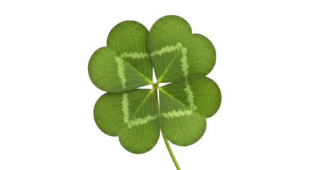 A single four leaf clover with a stem isolated against a black background view   ai generative, transparent background, white background.
