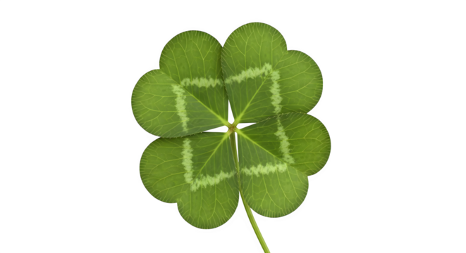 A single four leaf clover with a stem isolated against a black background view   ai generative, transparent background, white background.