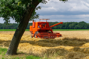 Red grain harvester working in a field during harvest, with green trees and cloudy sky in the...