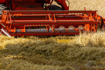 Red grain harvester working in a field, close-up of the cutting header harvesting ripe crops. Rural...
