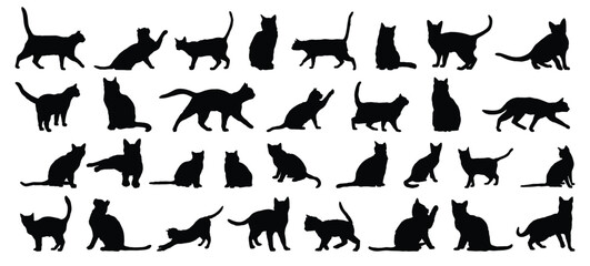 cat silhouette set. cat or kitty isolated farm animal silhouette icon vector collection