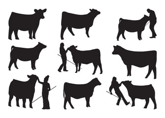Show Heifer vector, Show Heifer clipart, Show Heifer silhouette