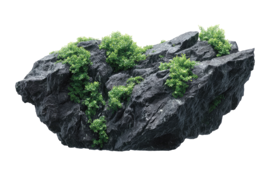 Dark gray rock, textured surface, with small patches of bright green moss