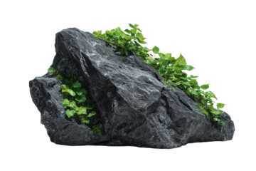 Dark gray rock with vibrant green foliage