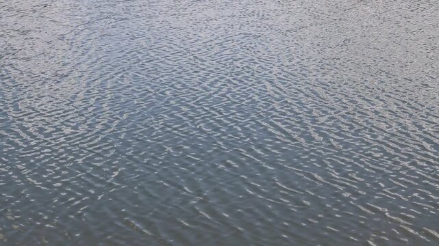 Calm Water Surface Current with Cloud Reflections