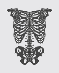 Ribs chest bone anatomy skeleton clip art illustration vector t shirt, sticker, tattoo, poster design editable