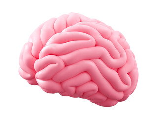 3D Brain Isolated on Png Transparent Background for Medical, Human Anatomy, and Organ Icon Design.