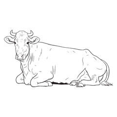 Agricultural Asset Defining Attribute Mark - Cow vector - Cow Line art - Cow Drawing - Vector Lineart of Cow - cow logo - cow outline

