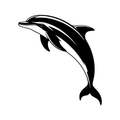 Dolphin Leap: A striking monochrome line art illustration of a dolphin soaring through the water, showcasing its elegant form and dynamic movement against a white background. © Uzzol