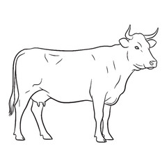 Uddered Figure Terrestrial Form View - Cow vector - Cow Line art - Cow Drawing - Vector Lineart of Cow - cow icon - outline of cow

