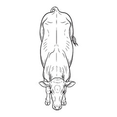 Robust Build Inherent Nature Soul - Cow vector - Cow Line art - Cow Drawing - Vector Lineart of Cow - cow logo - cow outline

