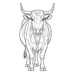 Milking Animal Body Anatomy Sketch - Cow vector - Cow Line art - Cow Drawing - Vector Lineart of Cow - cow icon - outline of cow

