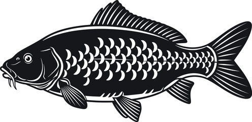 A black and white illustration of a carp fish with detailed scales and fins on a white background