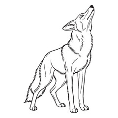 Smart Coyote Untamed Spirit Vision - Coyote vector - Coyote Line art - Coyote Drawing - Vector Lineart of Coyote - coyote logo - coyote outline

