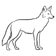 North American Coyote Silent Presence Air - Coyote vector - Coyote Line art - Coyote Drawing - Vector Lineart of Coyote - coyote logo - coyote outline

