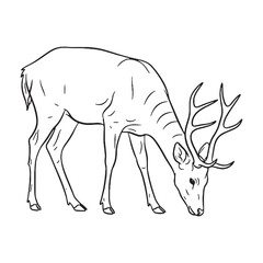 Camouflaged Deer Durable Structure Aspect - Deer vector - Deer Line art - Deer Drawing - Vector Lineart of Deer - deer icon - outline of deer


