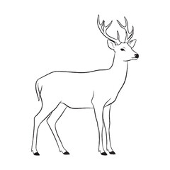 Doe Deer Distinctive Character Span - Deer vector - Deer Line art - Deer Drawing - Vector Lineart of Deer - deer icon - outline of deer

