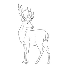 Stag Deer Untamed Spirit Vision - Deer vector - Deer Line art - Deer Drawing - Vector Lineart of Deer - deer logo - deer outline

