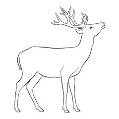 Nimble Deer Silent Presence Air - Deer vector - Deer Line art - Deer Drawing - Vector Lineart of Deer - deer logo - deer outline

