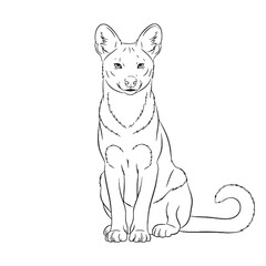 Carnivorous Dhole Fundamental Qualities Zone - Dhole vector - Dhole Line art - Dhole Drawing - Vector Lineart of Dhole - dhole logo - dhole outline

