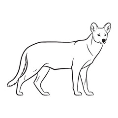 Threatened Dhole Rare Trait Element - Dhole vector - Dhole Line art - Dhole Drawing - Vector Lineart of Dhole - dhole logo - dhole outline

