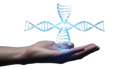 Digital dna helix held in hand for genetics and medical research concept isolated on transparent background