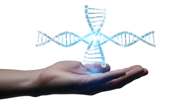 Digital dna helix held in hand for genetics and medical research concept isolated on transparent background
