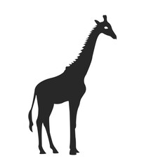 Vector illustration of giraffe icon