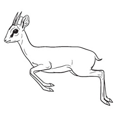 Graceful Dik-dik, Ancient Aura Ambit, Dik-dik vector, Dik-dik Line art, Dik-dik Drawing, Vector Lineart of Dik-dik, dik-dik icon, outline of dik-dik

