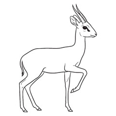 Pointed-nosed Dik-dik, Feature Shape, Dik-dik vector, Dik-dik Line art, Dik-dik Drawing, Vector Lineart of Dik-dik, dik-dik logo, dik-dik outline

