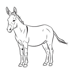 Strong-willed Donkey Fundamental Qualities Zone - Donkey vector - Donkey Line art - Donkey Drawing - Vector Lineart of Donkey - donkey logo - donkey outline

