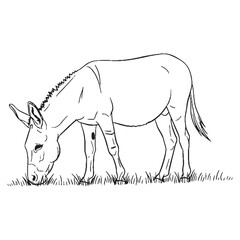 Farm-animal Donkey Silent Presence Air - Donkey vector - Donkey Line art - Donkey Drawing - Vector Lineart of Donkey - donkey logo - donkey outline

