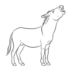 Burden-bearing Donkey Body Anatomy Sketch - Donkey vector - Donkey Line art - Donkey Drawing - Vector Lineart of Donkey - donkey icon - outline of donkey

