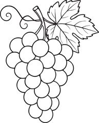 Simple line art bunch of grapes with leaf and vine fruit food