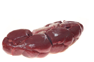 Cow kidneys on a white background