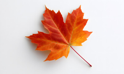 red maple leaf on white background. generative ai
